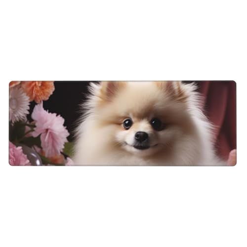 Großes Gaming-Mauspad, XL, 80 x 30 cm, Pomeranian und Blumen, Schreibtischunterlage für Tastatur und Maus, waschbares Tastatur-Pad mit rutschfester Unterseite, wasserdichtes Mauspad für Gamer, Büro Großes Gaming-Mauspad, XL, 80 x 30 cm, Pomeranian und Blumen, Schreibtischunterlage für Tastatur und Maus, waschbares Tastatur-Pad mit rutschfester Unterseite, wasserdichtes Mauspad für Gamer, Büro von LKWSCGHM