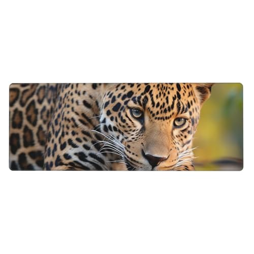 Großes Gaming-Mauspad, XL, 80 x 30 cm, afrikanischer Leoparden-Schreibtischunterlage für Tastatur und Maus, waschbares Tastatur-Pad mit rutschfester Unterseite, wasserdichtes Mauspad für Gamer, Büro Großes Gaming-Mauspad, XL, 80 x 30 cm, afrikanischer Leoparden-Schreibtischunterlage für Tastatur und Maus, waschbares Tastatur-Pad mit rutschfester Unterseite, wasserdichtes Mauspad für Gamer, Büro von LKWSCGHM