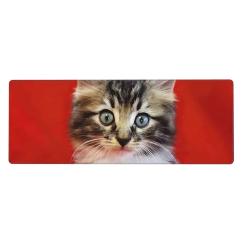 Großes Gaming-Mauspad, XL, 80 x 30 cm, niedliche Katzen-Schreibtischunterlage für Tastatur und Maus, waschbares Tastatur-Pad mit rutschfester Unterseite, wasserdichtes Mauspad für Gamer, Büro, Zuhause Großes Gaming-Mauspad, XL, 80 x 30 cm, niedliche Katzen-Schreibtischunterlage für Tastatur und Maus, waschbares Tastatur-Pad mit rutschfester Unterseite, wasserdichtes Mauspad für Gamer, Büro, Zuhause von LKWSCGHM