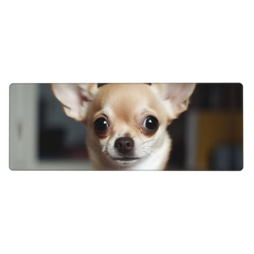 Großes Gaming-Mauspad, XL, 80 x 30 cm, niedlicher Chihuahua-Schreibtischunterlage für Tastatur und Maus, waschbares Tastatur-Pad mit rutschfester Unterseite, wasserdichtes Mauspad für Gamer, Büro Großes Gaming-Mauspad, XL, 80 x 30 cm, niedlicher Chihuahua-Schreibtischunterlage für Tastatur und Maus, waschbares Tastatur-Pad mit rutschfester Unterseite, wasserdichtes Mauspad für Gamer, Büro von LKWSCGHM