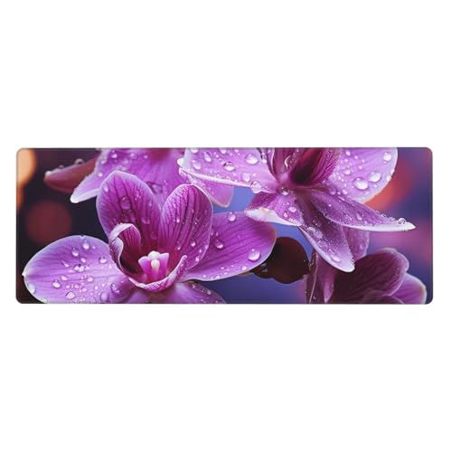 Großes Gaming-Mauspad, XL, 80 x 30 cm, violette Blumen-Schreibtischunterlage für Tastatur und Maus, waschbares Tastatur-Pad mit rutschfester Unterseite, wasserdichtes Mauspad für Gamer, Büro, Zuhause Großes Gaming-Mauspad, XL, 80 x 30 cm, violette Blumen-Schreibtischunterlage für Tastatur und Maus, waschbares Tastatur-Pad mit rutschfester Unterseite, wasserdichtes Mauspad für Gamer, Büro, Zuhause von LKWSCGHM