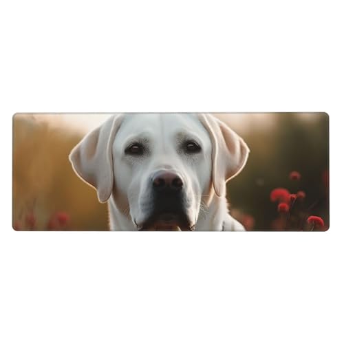 Großes Gaming-Mauspad, XL, 80 x 30 cm, weißer Labrador, Schreibtischunterlage für Tastatur und Maus, waschbares Tastatur-Pad mit rutschfester Unterseite, wasserdichtes Mauspad für Gamer, Büro, Zuhause Großes Gaming-Mauspad, XL, 80 x 30 cm, weißer Labrador, Schreibtischunterlage für Tastatur und Maus, waschbares Tastatur-Pad mit rutschfester Unterseite, wasserdichtes Mauspad für Gamer, Büro, Zuhause von LKWSCGHM