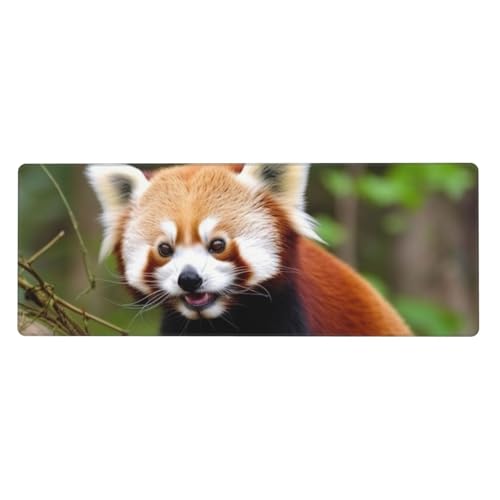 Großes Gaming-Mauspad XL 80 x 30 cm – Little Red Panda Animal Schreibtischunterlage für Tastatur und Maus, waschbares Tastatur-Pad mit rutschfester Unterseite, wasserdichtes Mauspad für Gamer, Büro von LKWSCGHM