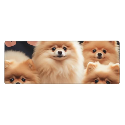 Großes Gaming-Mauspad XL 80 x 30 cm – Pomeranians Puppies Schreibtischunterlage für Tastatur und Maus, waschbares Tastatur-Pad mit rutschfester Unterseite, wasserdichtes Mauspad für Gamer, Büro Großes Gaming-Mauspad XL 80 x 30 cm – Pomeranians Puppies Schreibtischunterlage für Tastatur und Maus, waschbares Tastatur-Pad mit rutschfester Unterseite, wasserdichtes Mauspad für Gamer, Büro von LKWSCGHM