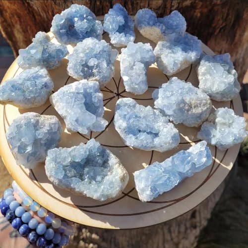 LLBOGRGGN 1pc 300-400g Celestite Crystal Raw Druzy Cluster Sky Blue Geode Rough Crystals LLBOGRGGN 1pc 300-400g Celestite Crystal Raw Druzy Cluster Sky Blue Geode Rough Crystals von LLBOGRGGN