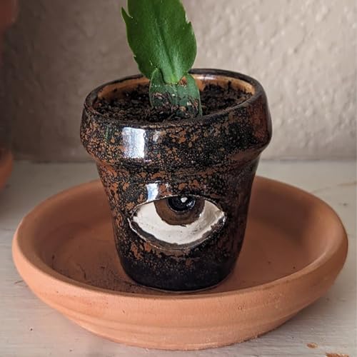 Handmade Crying Flower Pot, Crying Pots, Funny Abstract Face Planters Pots, Handmade Ceramic Crying Pots Tears of Joy, Head Planters for Indoor Plants, Happy Tears When You Water Their Plants (C) von LLELEMAMO