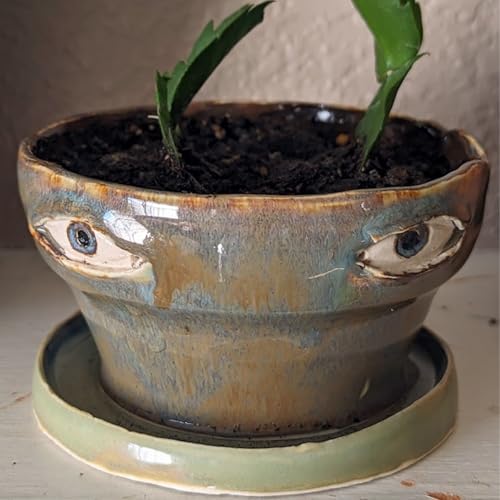 Handmade Crying Flower Pot, Crying Pots, Funny Abstract Face Planters Pots, Handmade Ceramic Crying Pots Tears of Joy, Head Planters for Indoor Plants, Happy Tears When You Water Their Plants (D) von LLELEMAMO