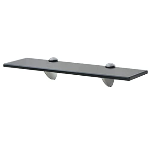 LLEZKBR Regalwandregale & Ledges-Schweberegal Glas 40x10cm 8mm von LLEZKBR