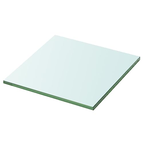 LLEZKBR Regalwandregale & Ledges-Shelfpaneel Glas klar 20x20cm von LLEZKBR