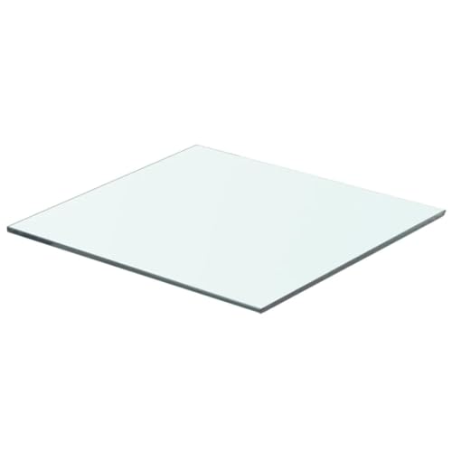 LLEZKBR Regalwandregale & Ledges-Shelfpaneel Glas klar 40x30cm von LLEZKBR
