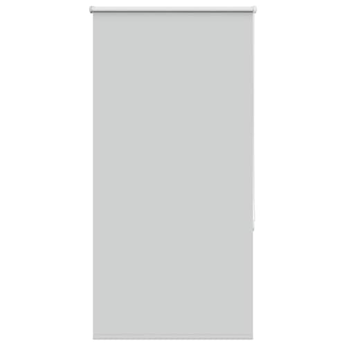 LLEZKBR Rollo Verdunkelungsrollo Hellgrau 80x150 cm Stoffbreite 75,7 cm Polyester von LLEZKBR