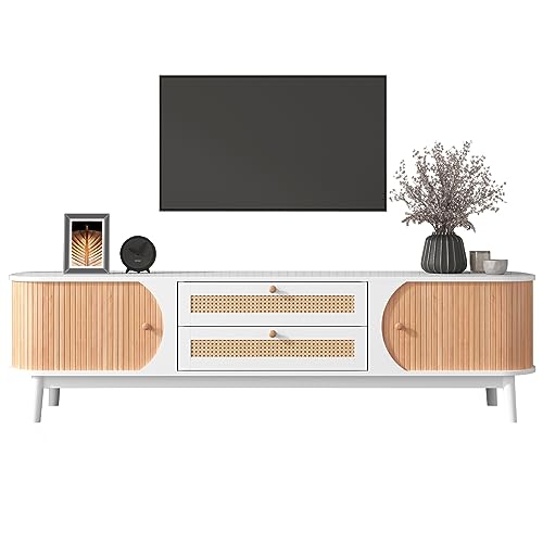 LLGWGL TV Schrank Lowboard 40cm Breit Stehend Fernsehtisch Moderner Möbel mit 2 Türen Schubladen Stauraum für Wohnzimmer Schlafzimmer Esszimmer von LLGWGL