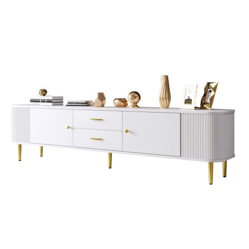 LLGWGL TV Schrank Lowboard Stehend Fernsehtisch Moderner mit 2 Türen Zwei Schubladen Stauraum für Wohnzimmer Schlafzimmer Esszimmer von LLGWGL