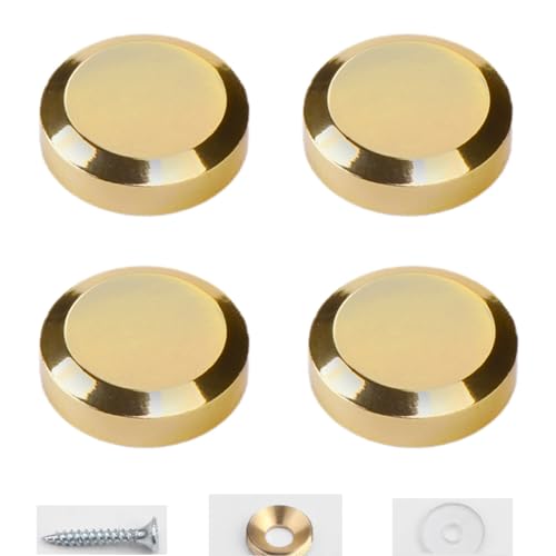 4 Stück Halter Clips Halter Clip Glas Halter Clip Glas Retainer Hängend mit Schrauben Feste Box Tür Dekoration von LLHCF