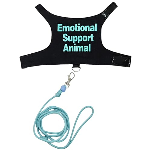 Hübsches Reptiliengeschirre für Eidechsen, Trainingsgeschirr, verschleißfester Seilgürtel für Spaziergänge im Freien, Haustier-Eidechsen-Kleidung Hübsches Reptiliengeschirre für Eidechsen, Trainingsgeschirr, verschleißfester Seilgürtel für Spaziergänge im Freien, Haustier-Eidechsen-Kleidung von LLHCF