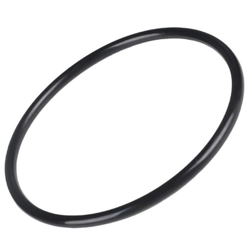Praktischer CX900F O-Ringe, Ersatz, kompatibel mit Poolfilter-Modellen C751 C900 C1200 C17502 für den täglichen Gebrauch Praktischer CX900F O-Ringe, Ersatz, kompatibel mit Poolfilter-Modellen C751 C900 C1200 C17502 für den täglichen Gebrauch von LLHCF