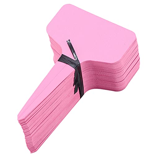 100pcs Gartenpflanzetiketten Plastikzeichen Tags Kindergarten Marker Blumentöpfe Samen Topf Kräuter Etiketten Klassifizierungsmarke Klassifizierung Klassifizierung von LLINthy
