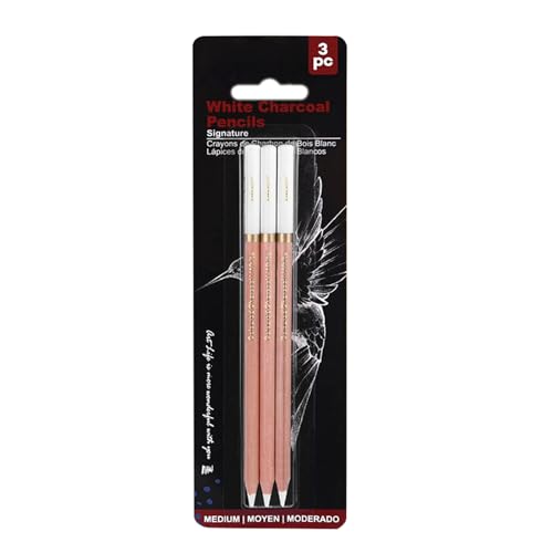 2/3/4 PCs Weiße Holzkohlestifte Highlight Bleistift Zeichnenstifte Highlight Stift Zum Zeichnen Von Handwerkskizzierschattierungen von LLINthy
