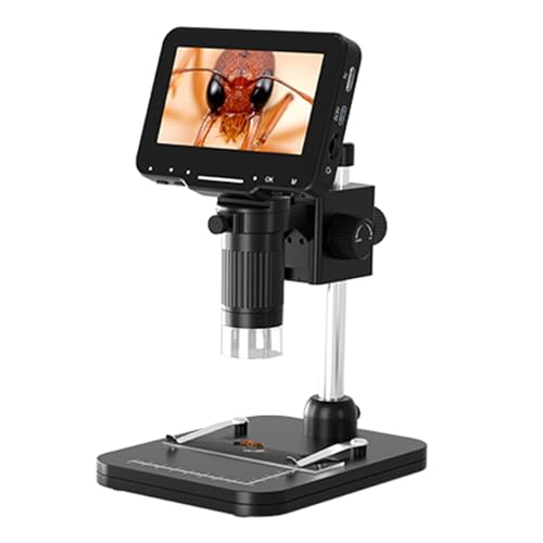 LCD Digitalmikroskop 4 3 Zoll Bildschirm 720p Video Recorder 1-1000X Vergrößerungsmikroskop Vergrößerungs PC Ansichts Münzkollektormikroskop LCD Digitalmikroskop 4 3 Zoll Bildschirm 720p Video Recorder 1-1000X Vergrößerungsmikroskop Vergrößerungs PC Ansichts Münzkollektormikroskop von LLINthy