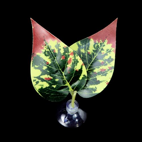 LLINthy Bettas Fischblattpolster Doppelblatt Hängematte Ruhebett Sichere Umwelt Bettas Laichbett Aquarien Landschaft Accessoire Aquarien Accessoires von LLINthy
