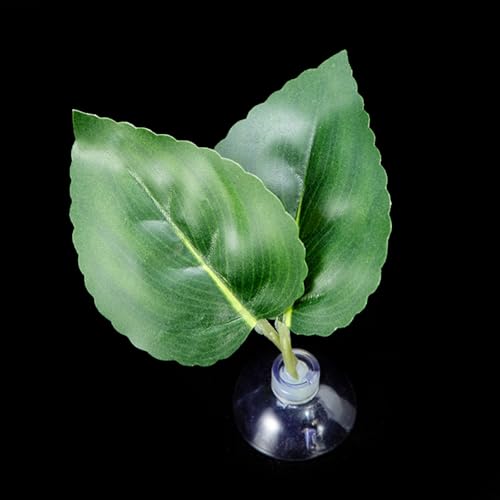LLINthy Bettas Fischblattpolster Doppelblatt Hängematte Ruhebett Sichere Umwelt Bettas Laichbett Aquarien Landschaft Accessoire Aquarien Accessoires von LLINthy