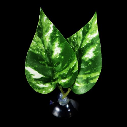 LLINthy Bettas Fischblattpolster Doppelblatt Hängematte Ruhebett Sichere Umwelt Bettas Laichbett Aquarien Landschaft Accessoire Aquarien Accessoires von LLINthy