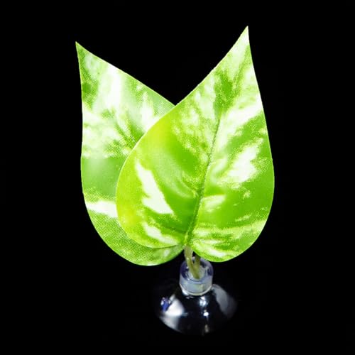 LLINthy Bettas Fischblattpolster Doppelblatt Hängematte Ruhebett Sichere Umwelt Bettas Laichbett Aquarien Landschaft Accessoire Aquarien Accessoires von LLINthy