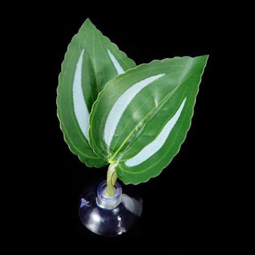 LLINthy Bettas Fischblattpolster Doppelblatt Hängematte Ruhebett Sichere Umwelt Bettas Laichbett Aquarien Landschaft Accessoire Aquarien Accessoires von LLINthy