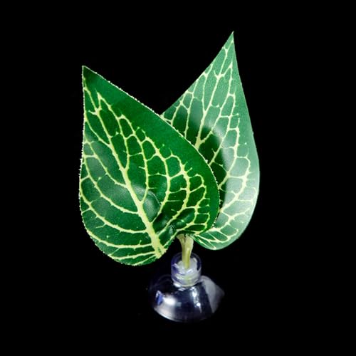 LLINthy Bettas Fischblattpolster Doppelblatt Hängematte Ruhebett Sichere Umwelt Bettas Laichbett Aquarien Landschaft Accessoire Aquarien Accessoires von LLINthy