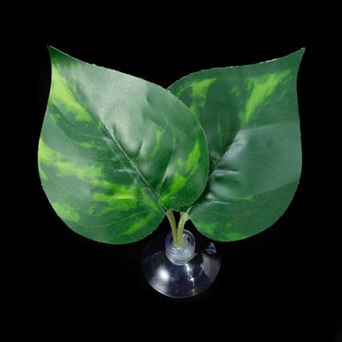 LLINthy Bettas Fischblattpolster Doppelblatt Hängematte Ruhebett Sichere Umwelt Bettas Laichbett Aquarien Landschaft Accessoire Aquarien Accessoires von LLINthy