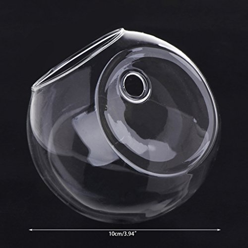 Wand Hangglas Pflanzer Vase Terrarium Behälter Hausgarten Ball Vasen Für Blumen Plastik von LLINthy