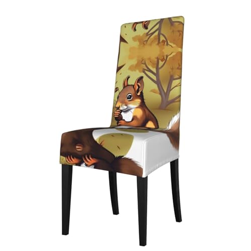 LLKGOT Die Stuhlhussen mit Eichhörnchen-Motiv sind abnehmbar, super elastisch und waschbar, geeignet für Küchen LLKGOT Die Stuhlhussen mit Eichhörnchen-Motiv sind abnehmbar, super elastisch und waschbar, geeignet für Küchen von LLKGOT