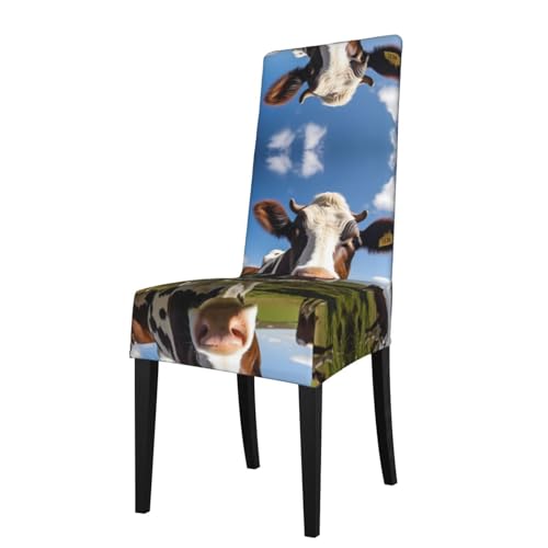 LLKGOT Die Stuhlhussen mit Milchkuhmotiv sind abnehmbar, super elastisch und waschbar, geeignet für Küchen LLKGOT Die Stuhlhussen mit Milchkuhmotiv sind abnehmbar, super elastisch und waschbar, geeignet für Küchen von LLKGOT