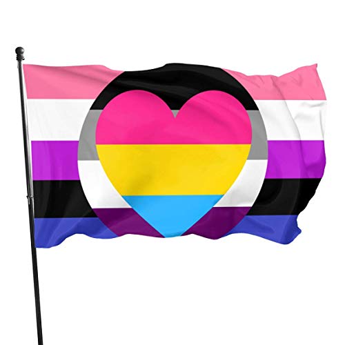 Asexual Ace Panromantic Pan Genderfluid Heart Pride Flag Themed Welcome Party Outdoor Decorations Orment Picks Home House Garden Yard Decor 3 X 5 Ft Small Flag von LLLDHGCBSS