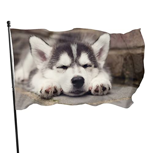 Bezaubernde Husky-Flagge mit Hund im Schlaf, 90 x 150 cm, lebendige Farben, lichtbeständig, Polyester, Outdoor-Sport-Banner mit 2 Messingösen von LLLDHGCBSS