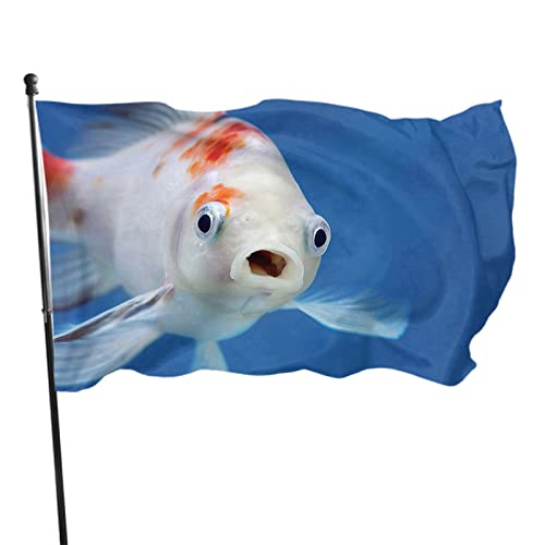 Fischflagge, 90 x 152 cm, Fisch-Flagge mit weit geöffnetem Maul, Käferaugen im Aquarium, Wasser, Outdoor-Flaggen, große Willkommensbanner für Zuhause, Garten, Hof, Rasen-Dekoration von LLLDHGCBSS