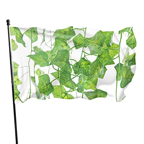 Flagge, 90 x 152 cm, künstliche Efeublätter, lebendige Farben, Outdoor-Sport-Banner, lichtbeständiges Polyester, Hofflagge mit 2 Messingösen für Innen- und Außenbereich von LLLDHGCBSS