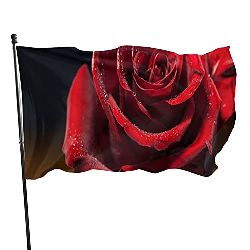 Flagge, 90 x 152 cm, rote Rose, lebendige Farben, Outdoor-Sport-Banner, lichtbeständiges Polyester, Hofflagge mit 2 Messingösen für drinnen und draußen von LLLDHGCBSS