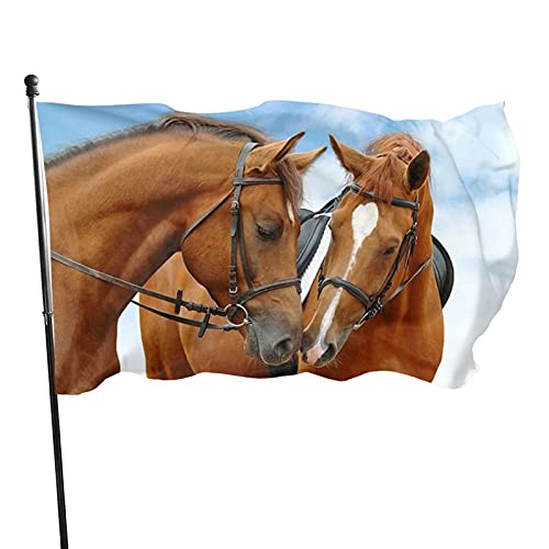 Flagge, 90 x 152 cm, schöne Pferde, lebendige Farben, Outdoor-Sport-Banner, lichtbeständiges Polyester, Hofflagge mit 2 Messingösen für drinnen und draußen Flagge, 90 x 152 cm, schöne Pferde, lebendige Farben, Outdoor-Sport-Banner, lichtbeständiges Polyester, Hofflagge mit 2 Messingösen für drinnen und draußen von LLLDHGCBSS