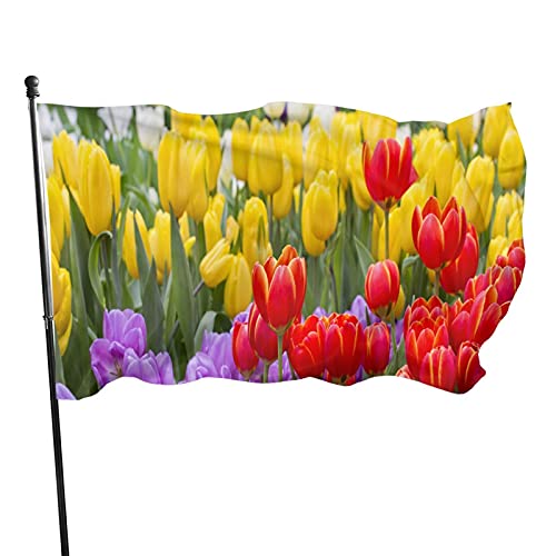 Flagge, 90 x 152 cm, schöne Tulpe, lebendige Farben, Outdoor-Sport-Banner, lichtbeständiges Polyester, Hofflagge mit 2 Messingösen für drinnen und draußen von LLLDHGCBSS