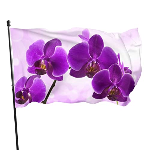 Flagge, 90 x 152 cm, violette Blume, lebendige Farben, Outdoor-Sport-Banner, lichtbeständiges Polyester, Hofflagge mit 2 Messingösen für drinnen und draußen von LLLDHGCBSS
