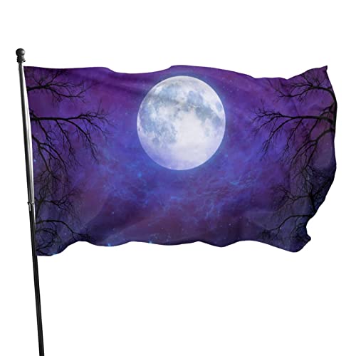 Flagge Mond im Nachthimmel, leichte Outdoor-Gartendekoration, Veranda, Polyester, lichtbeständig, Banner mit Messingösen, 90 x 150 cm von LLLDHGCBSS