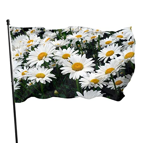 Flagge mit wilden weißen Gänseblümchen, 90 x 150 cm, lebendige Farben, lichtbeständig, Polyester, Outdoor-Sport, Banner mit 2 Messingösen von LLLDHGCBSS