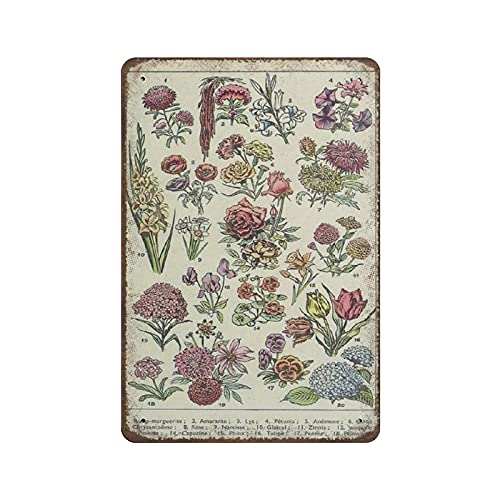 LLLDHGCBSS Metall-Blechschild, Botanische Blume, Vintage-Kunst-Poster, Retro, Eisenmalerei, Wanddekoration, Kunst, Geschenk, Outdoor, Café, Bar, Garage, Bauernhof, Dekoration, 30,5 x 20,3 cm von LLLDHGCBSS