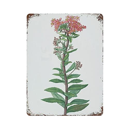 LLLDHGCBSS Metall-Blechschild Blumen-Serie, Vintage-Blechposter, Metallschild, Wanddekoration, Landküche, Zuhause, Garage, Dekoration, 40,6 x 30,5 cm von LLLDHGCBSS