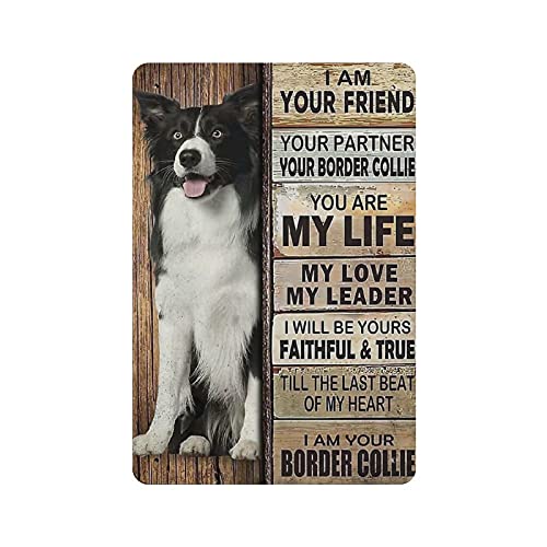 LLLDHGCBSS Metall-Blechschild Border CollieDog, Vintage-Blechposter, Metallschild, Wanddekoration, Landküche, Haus, Garage, Dekoration, 30,5 x 20,3 cm LLLDHGCBSS Metall-Blechschild Border CollieDog, Vintage-Blechposter, Metallschild, Wanddekoration, Landküche, Haus, Garage, Dekoration, 30,5 x 20,3 cm von LLLDHGCBSS