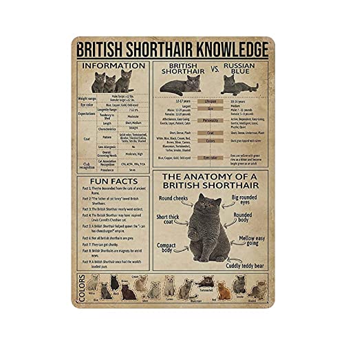 LLLDHGCBSS Metall-Blechschild Britisches Kurzhaar Wissen Anatomie Informationen Vintage Kunst Poster Retro Eisenmalerei Wanddekoration Kunst Geschenk Outdoor Cafe Bar Garage Bauernhof Dekoration 40,6 von LLLDHGCBSS