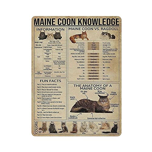 LLLDHGCBSS Metall-Blechschild Maine Coon Wissen Vintage Blechposter Metallschild Wanddekoration Land Küche Haus Garage Dekor 40,6 x 30,5 cm von LLLDHGCBSS