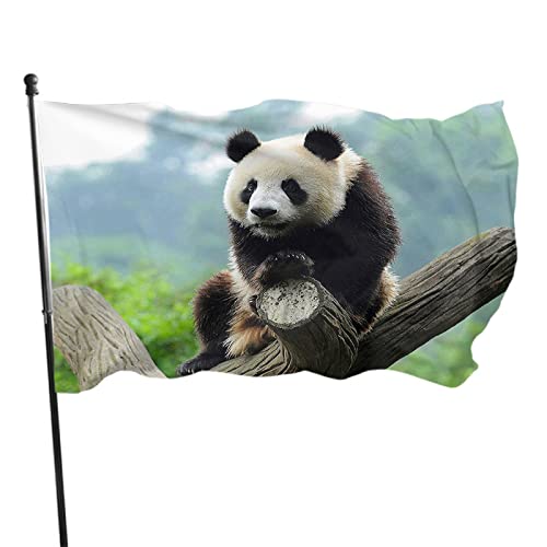Panda-Flagge, 90 x 150 cm, niedliche Tier-Pandas auf einem Ast, grünes Blatt, Outdoor-Flaggen, große Willkommensbanner, Hausgarten, Hof, Rasen-Dekoration von LLLDHGCBSS