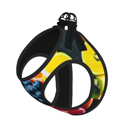 L Pet Leash Vest Hundegeschirr, kleine Größe, Obst-Regenbogen-Druck, Leinen-Set mit Schnalle, Hundebegleiter, Outdoor-Spaziergänge von LLOTPQ